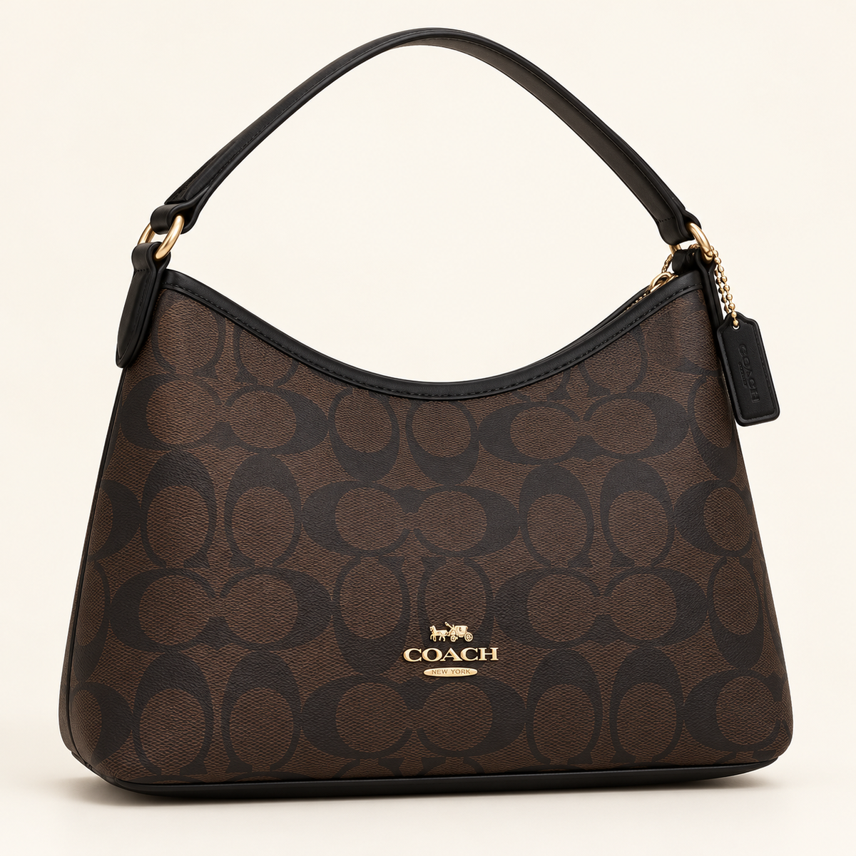 Coach Sac hobo — Brun et noir vue du produit